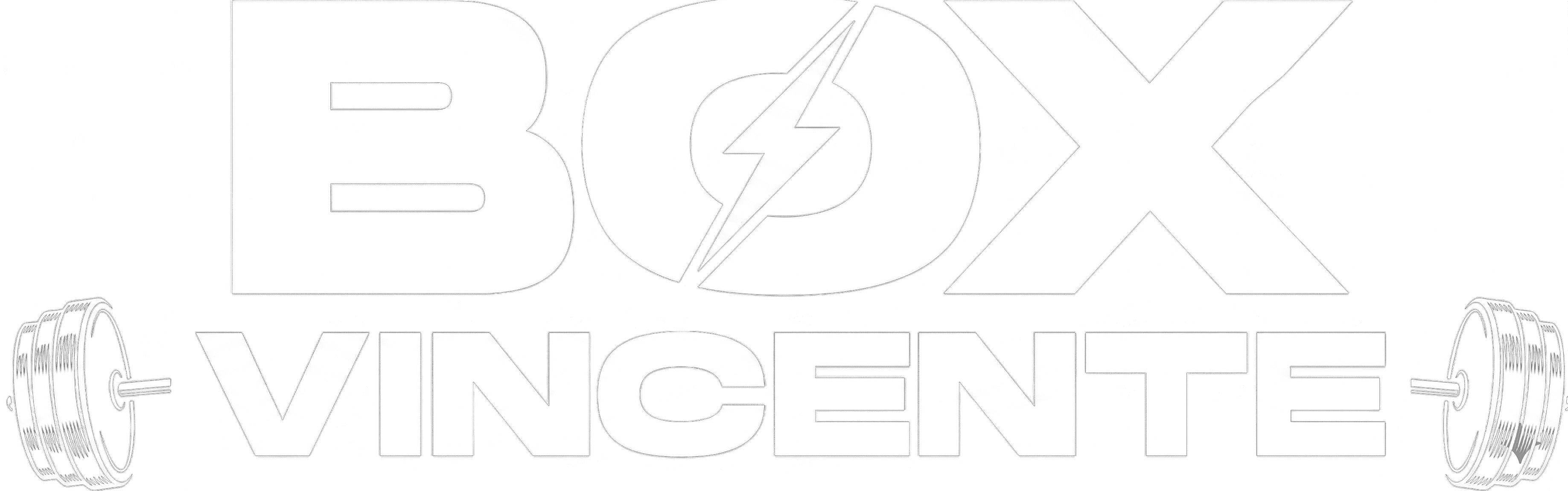 Logo Box Vincente